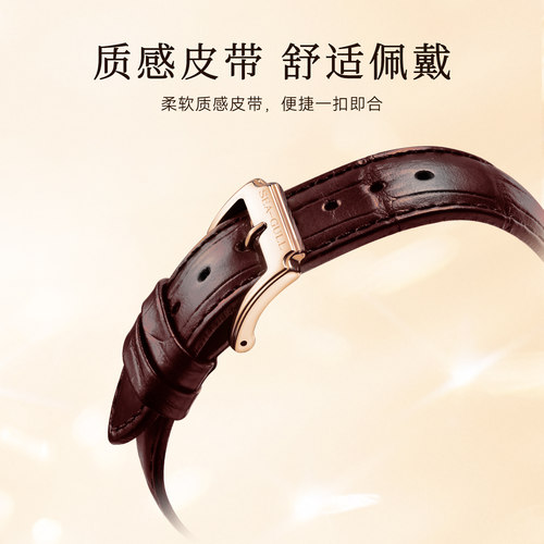 海鸥手表自动机械表商务男女同款复古时尚皮带腕表情侣表519.405 - 图2