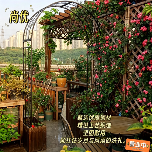 欧式铁艺拱形花架户外拼装金属连接件绿植花架定制 - 图0