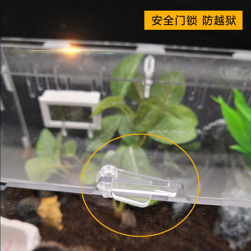 爬虫箱仓鼠亚克力饲养盒子寄居蟹蜘蛛角蛙守宫蜥蜴爬宠昆虫生态箱 - 图2