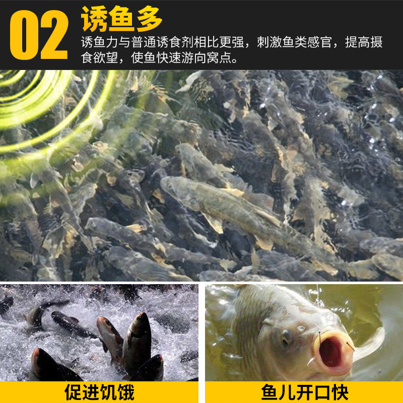 纯丁香油钓鱼小药公丁香酒三香油冬季专用鲫鱼野钓开口剂诱鱼大全,淘宝优惠券,粉丝福利购,淘宝优惠卷