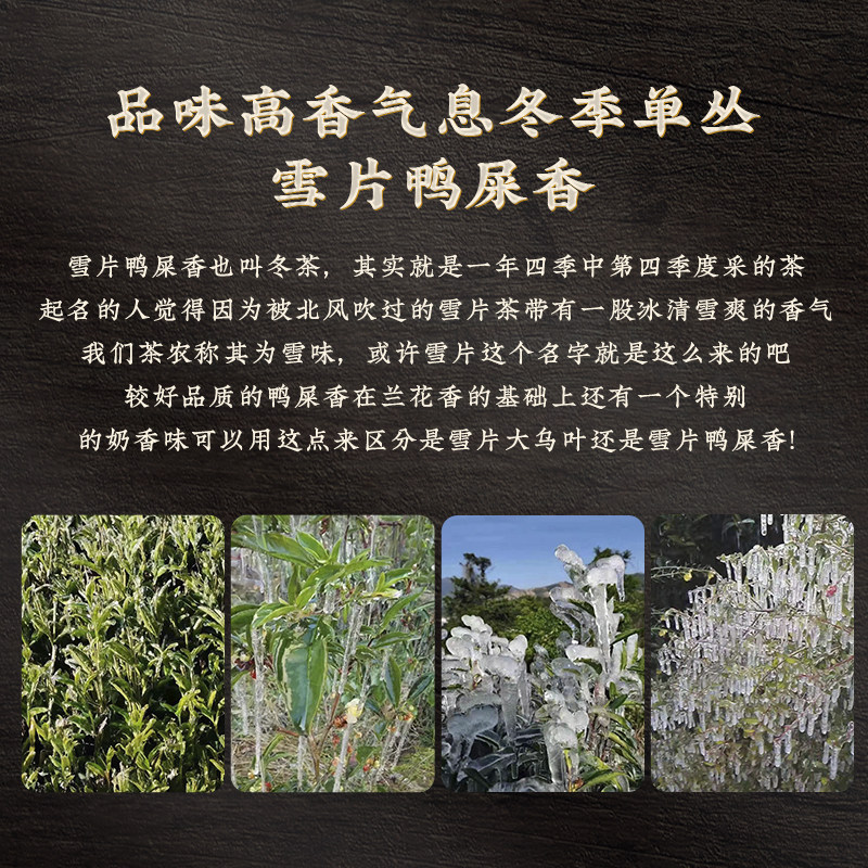 潮州单丛茶凤凰单枞茶叶自己喝鸭屎香雪片鸭屎香凤凰单枞茶试喝装,淘宝优惠券,粉丝福利购,淘宝优惠卷