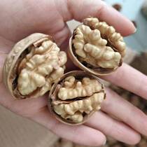 185 paper leather walnut fruit kernel full bodied and crisp and crisp