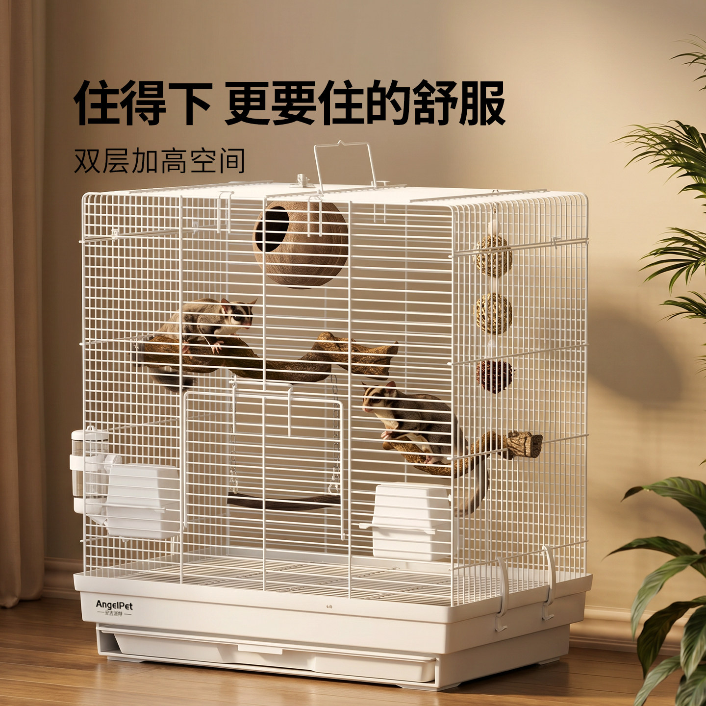 图2