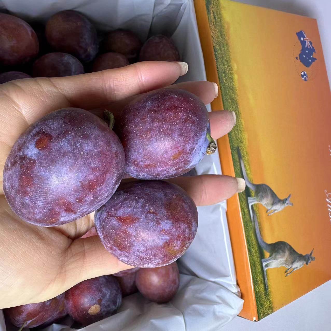 澳洲进口西梅 原箱约4斤中大果新鲜空运李子水果甜脆孕妇宝宝辅食,淘宝优惠券,粉丝福利购,淘宝优惠卷