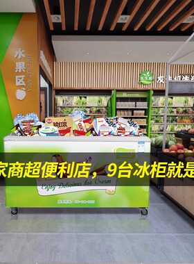 海容1米5冷冻雪糕冰柜商用冷柜