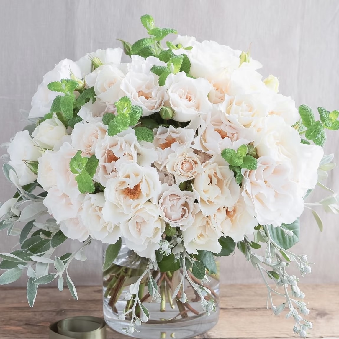 玛格丽特梅丽尔 月季 新品 灌木 强香 丰花 英国品种 - 图0