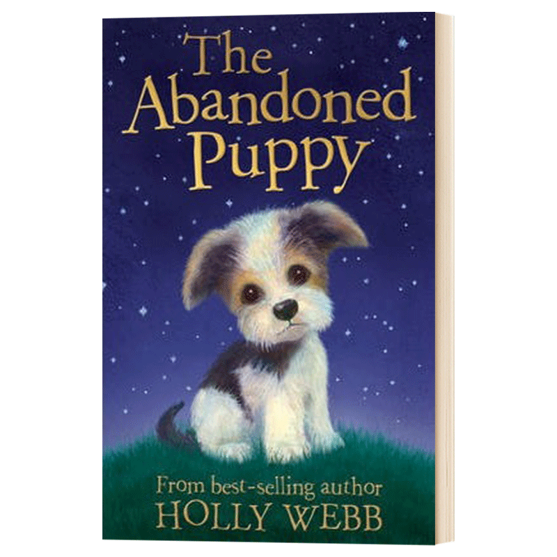 华研原版 霍莉韦伯 我的宠物宝贝系列 英文原版 The Abandoned Puppy Holly Webb Animal Stories 英文版 进口英语书籍 - 图0