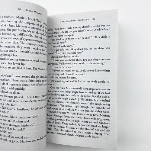 灿烂千阳 英文原版小说 A Thousand Splendid Suns 英文版进口书The Kite Runner追风筝的人作者胡赛尼另一力作英语原版搭怦然心动 - 图0