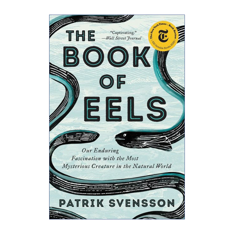 鳗鱼的旅行 英文原版 The Book of Eels 一场对目标与意义的探寻 奥古斯特文学奖 英文版 进口英语原版书籍
