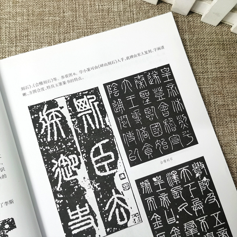 怎样学篆刻 王本兴 篆刻入门教程 印章制作基础学习入门教材 篆刻字典工具书 介绍刻刀印石印泥毛笔印床书籍 正版图书 天津人美,淘宝优惠券,粉丝福利购,淘宝优惠卷