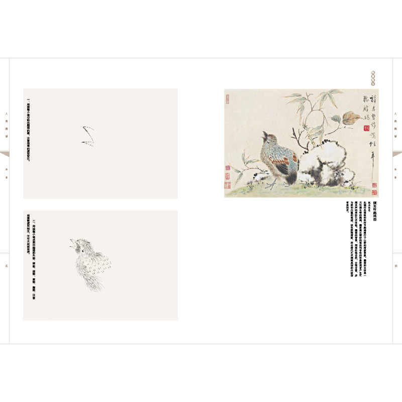 人美画谱 华岩(喦)大开本 水墨丹青山水画高清临摹步骤详解 视频教学 中国画技法示范深度解析古人习画技巧 人民美术出版社,淘宝优惠券,粉丝福利购,淘宝优惠卷