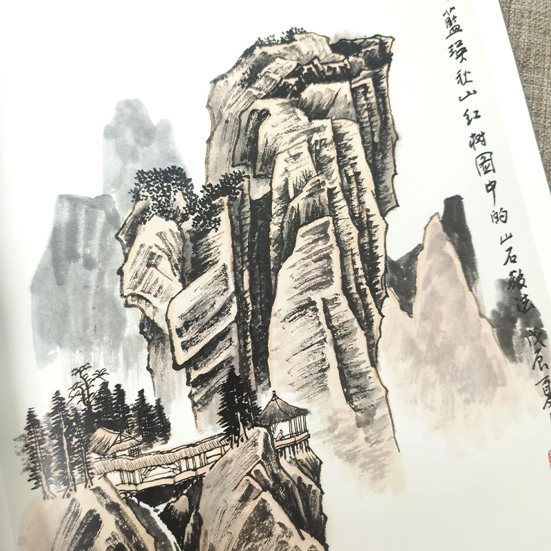 中国画教学画稿 山石 赵树松著写意水墨山水画课徒稿国画技法山石画法步骤 査士标王鉴龚贤范宽等名家山石技法 天津人美 - 图3