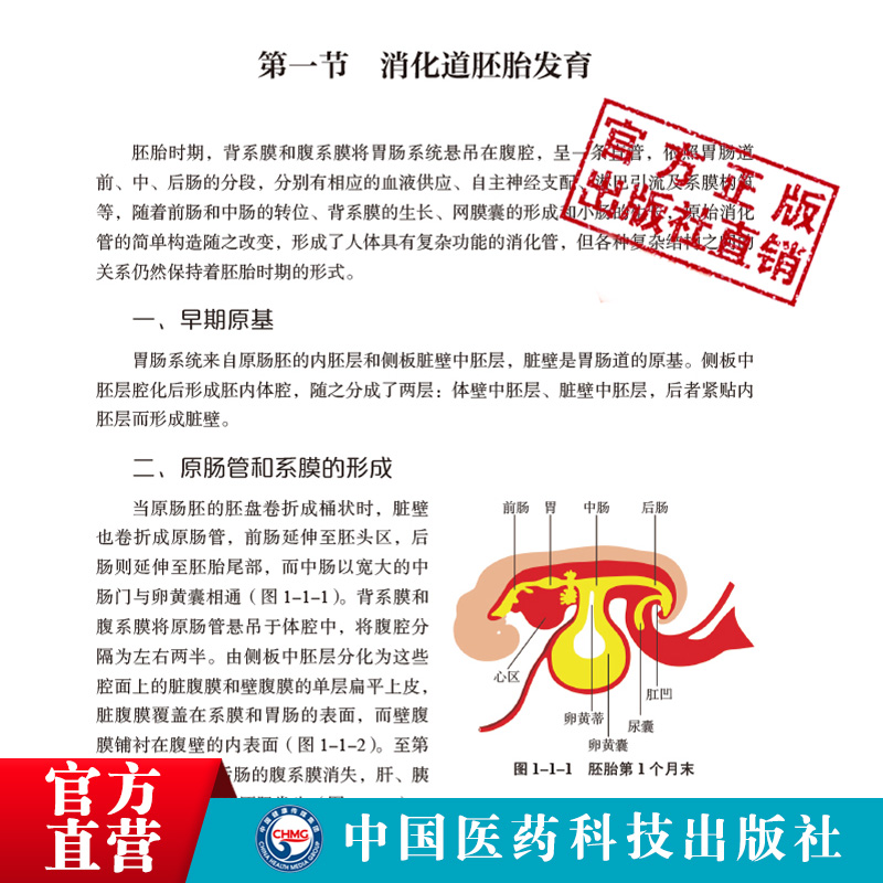 儿童消化道超声扫查基本切面及疾病诊断小儿消化道扫查切面示意图筛查诊断消化道胚胎发育解剖结构生理特点病理状态胎儿小儿期病例 - 图1