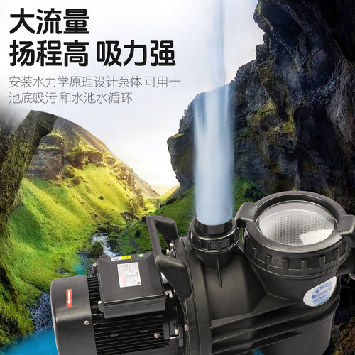 泳池循环水泵带毛发收集器过滤泵游泳池过滤系统设备循环泵抽水泵 - 图0