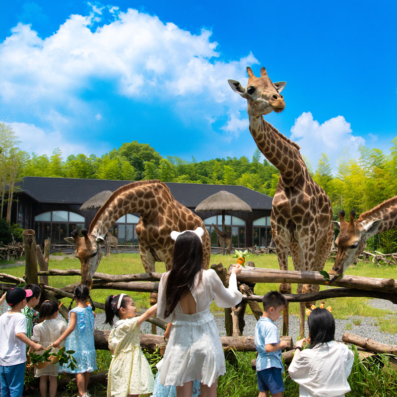 ���ݳ���¹ׯ԰�Ƶ�1-2��Ԫ�����ڿ��þ�ѡ�ײ� ��˫��