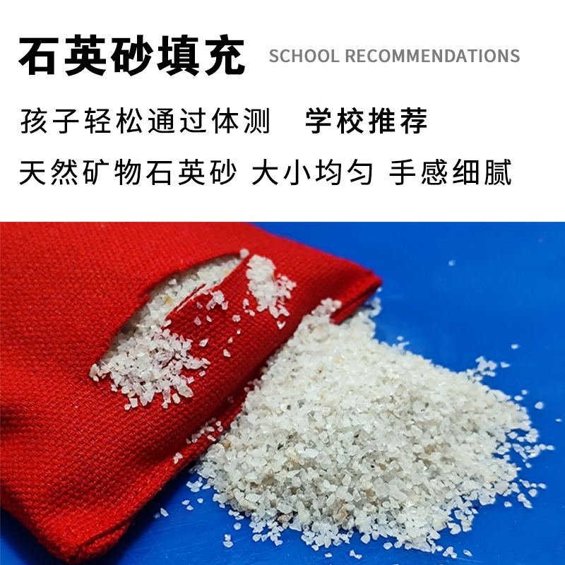 沙包儿童丢沙包小学生幼儿园专用沙包投掷体育考试达标成人沙包袋 - 图1