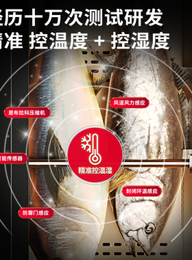 商用深海鱼刺身展示柜