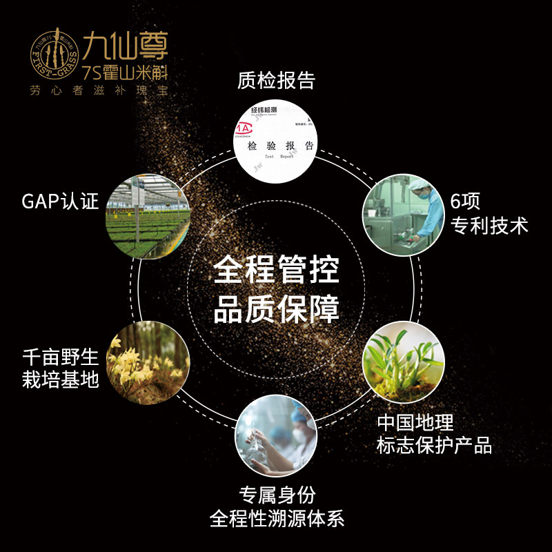 九仙尊霍山铁皮干条礼盒装健康枫斗 九仙尊石斛/枫斗