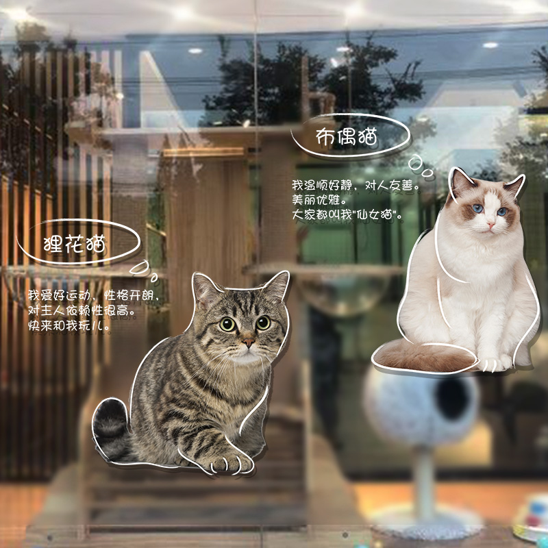 宠物店装饰玻璃门贴纸撸猫美容医院橱窗贴猫咪墙贴画门口装饰背景 - 图3