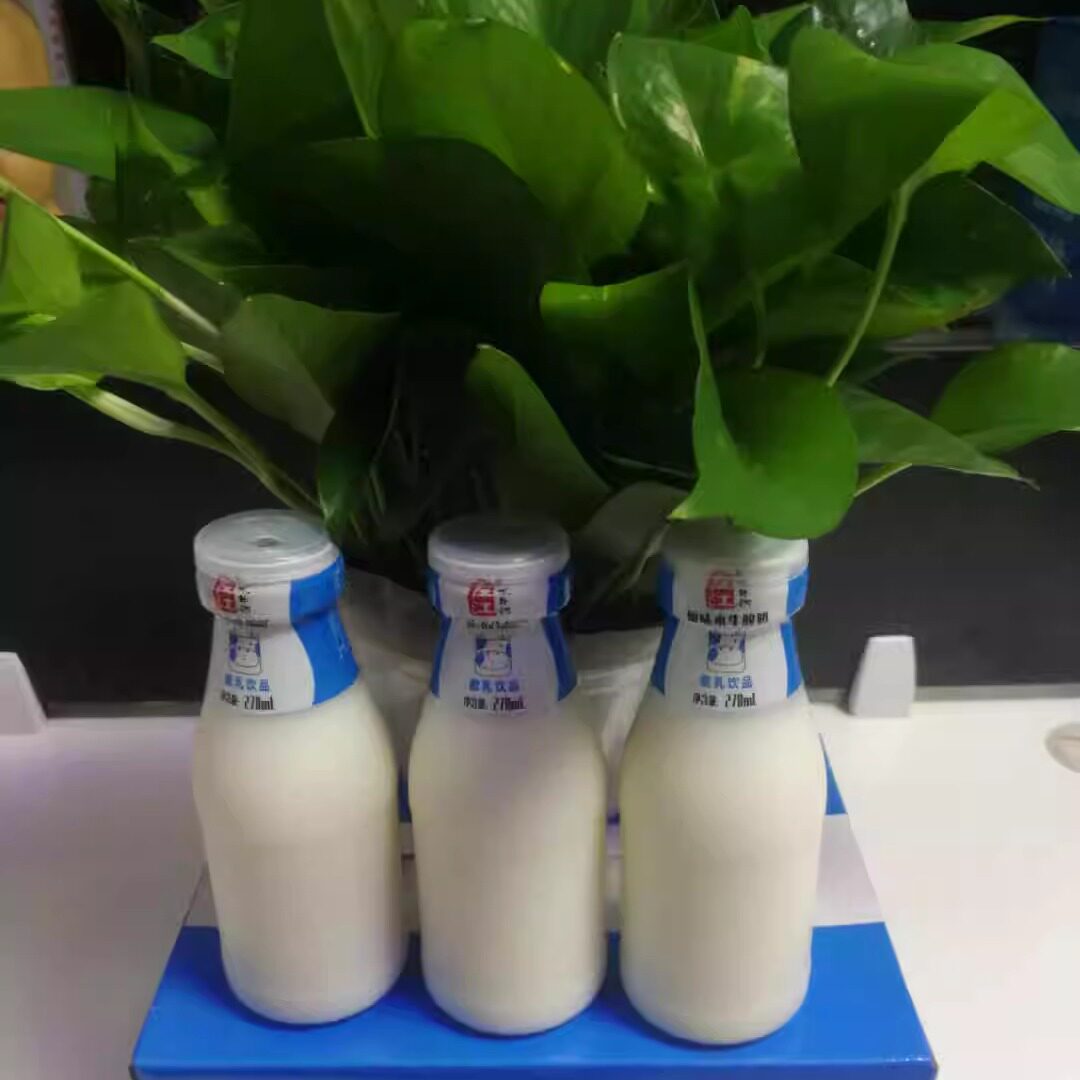 左江水牛酸奶草莓味270mL*12瓶整箱稀有奶源常温发酵乳酸饮品包邮 - 图0