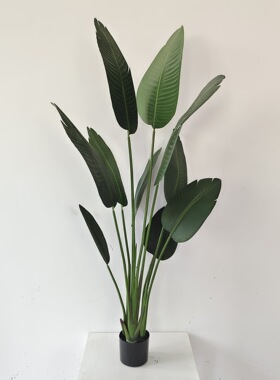 ins北欧风格装饰假绿植盆栽摆件家居饰品加密仿真旅人蕉现货ins风