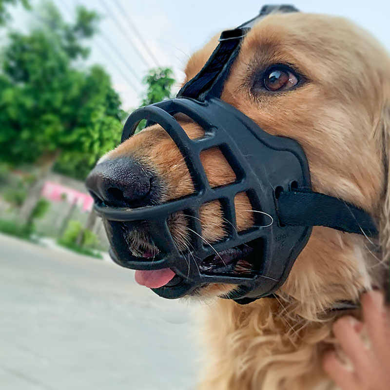 狗犬口罩 新人首单立减十元 21年7月 淘宝海外