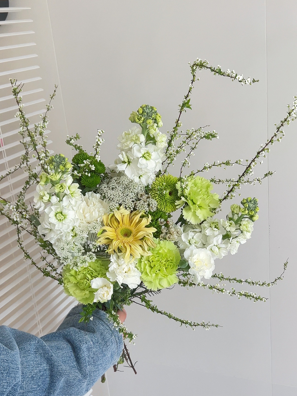 绿野仙踪家庭混搭花束  同城鲜花速递家庭水养鲜切花云南直发冷链,淘宝优惠券,粉丝福利购,淘宝优惠卷