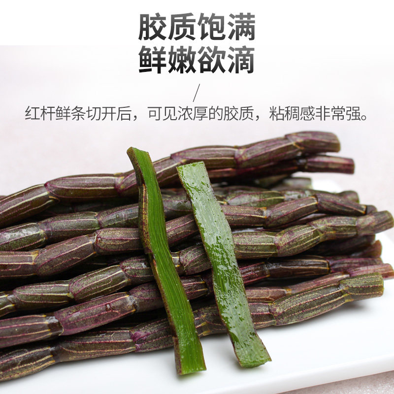 古箐宝云南特级红杆铁皮鲜条枫斗 古箐宝石斛/枫斗