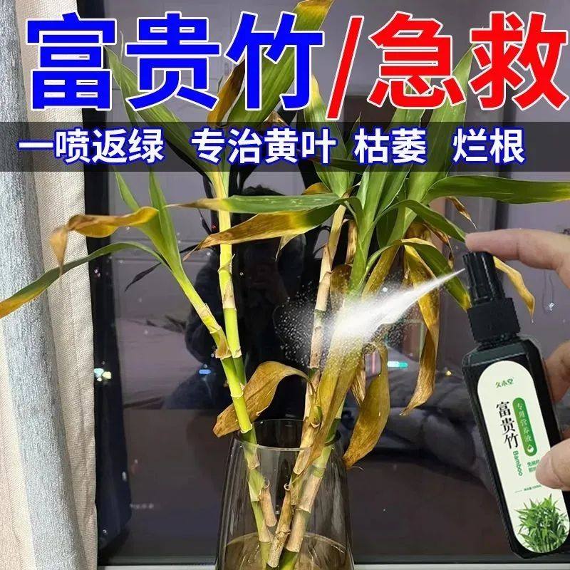 【四季翠绿】富贵竹专用营养液叶子发黄促生根液植物水培营养液,淘宝优惠券,粉丝福利购,淘宝优惠卷