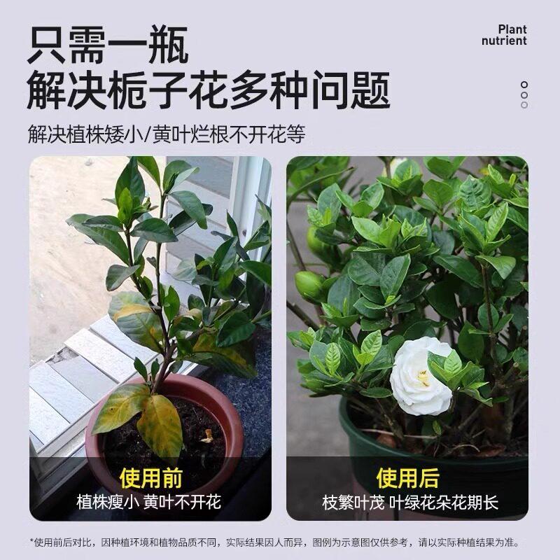 栀子花肥料专用肥营养液开花植物家用养花专用盆栽通用型酸性花肥
