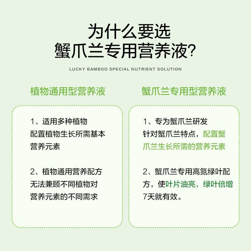 【爆盆】蟹爪兰专用营养液肥料蟹爪兰花肥四季开花营养液好养不死 - 图3