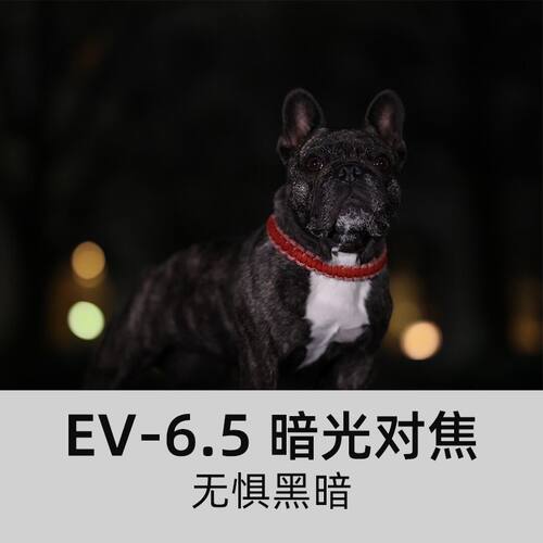 Canon/佳能EOS R5单机身全画幅专业微单24-105数码照相机专微套机 - 图3