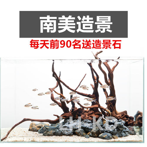 三湖造景鱼缸造景套餐原生缸南美水族溪流缸杜鹃根沉木水景骨架 - 图0