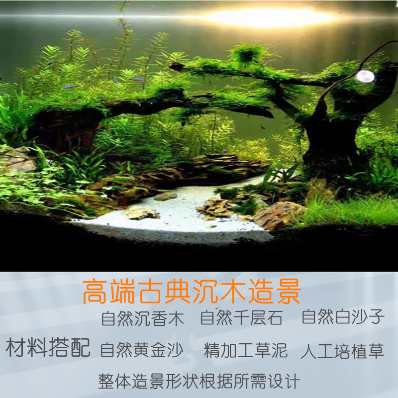 专业清洗鱼缸同城上门服务优质护理鱼池换水过滤维修更换配件造景 - 图0