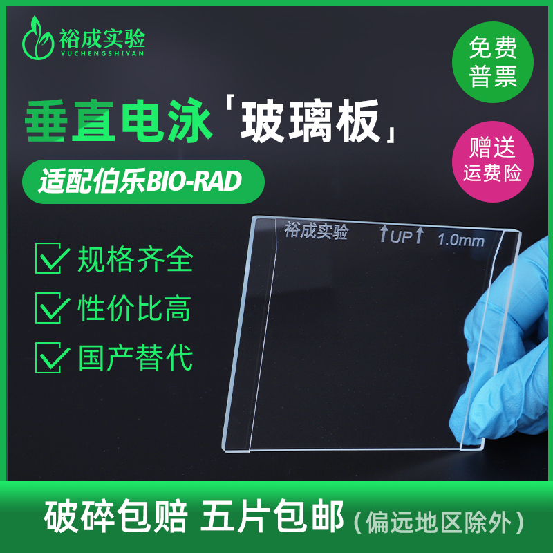 Western Blot玻璃板替代伯乐Bio-Rad WB电泳玻璃板密封垫/支架-图2