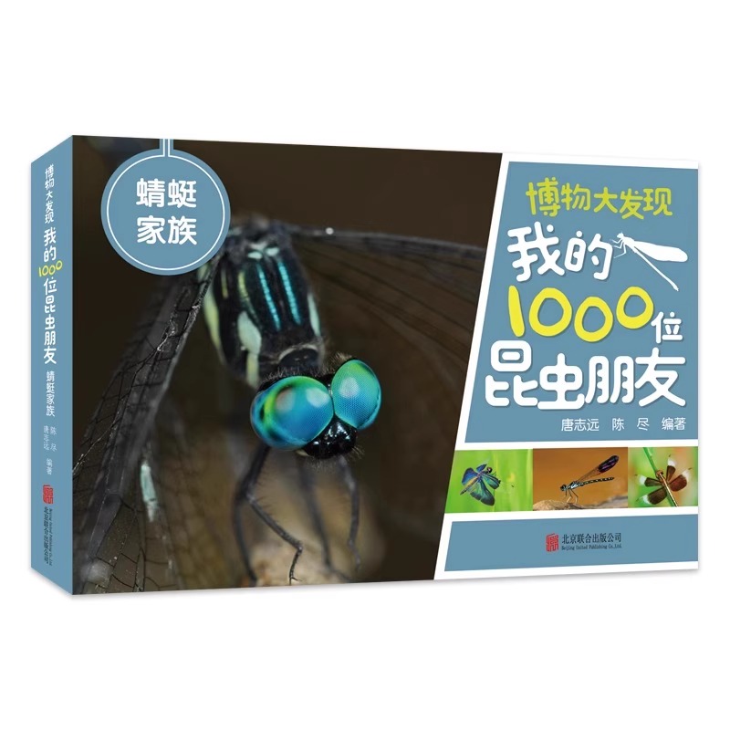 正版博物大发现：我的1000位昆虫朋友全5册正版 一起去看昆虫朋友一千位无穷小亮的昆虫科普博物课张辰亮唐志远带孩子探索世界中国 - 图2