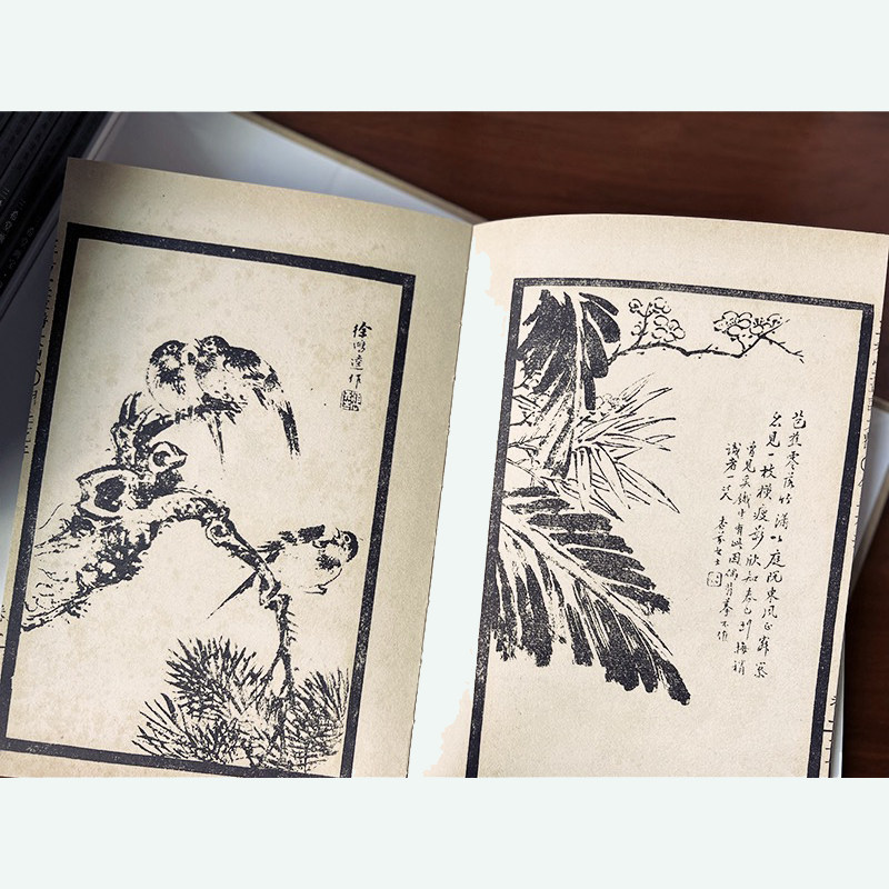 【大32开】中国古代经典画谱集成 三希堂画宝翎毛草虫花卉卷 全8册叶九如 编著近代著名画家学习范本初学入手画法名家范作刻印精良