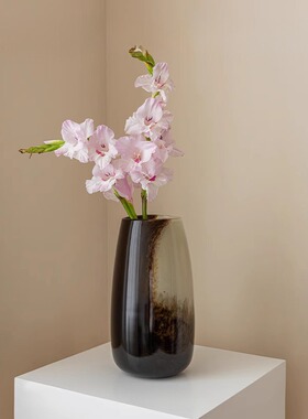 新品高级感渐变玻璃花瓶摆件轻奢客厅桌面插花装饰花器酒店