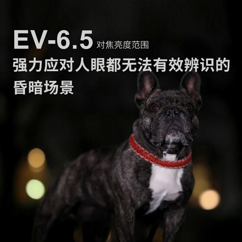 佳能 EOS R6 Mark II 全画幅微单相机 R6二代专微R62专业vlog视频 - 图0