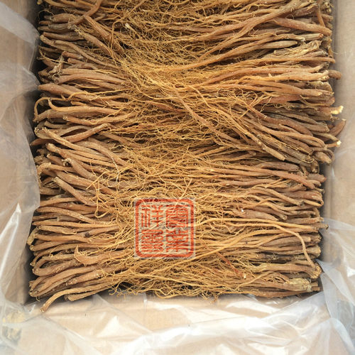 东北长白山人参 6年纯无糖红参 红参须 红参粗根须500克包邮 - 图2