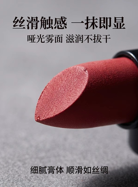 12色经典胶囊口红套装显白迷你哑光雾面 子弹头唇膏小口红 送礼