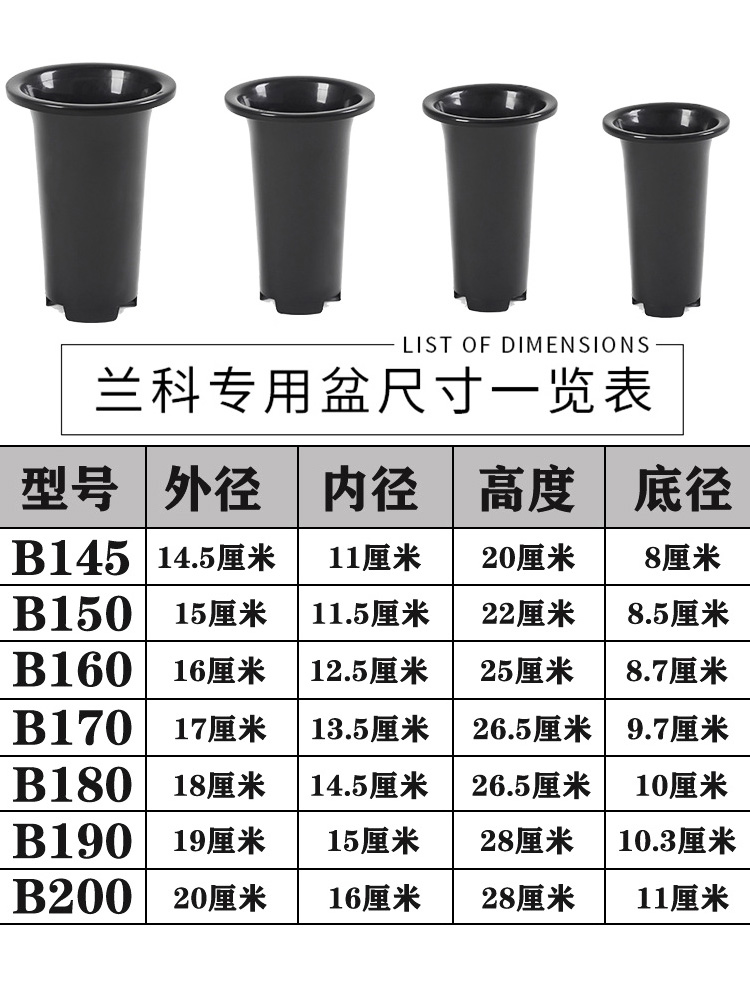 高腰塑料兰花盆无侧孔简约室内阳台兰苑兰花加大号种植盆加高加厚-图3