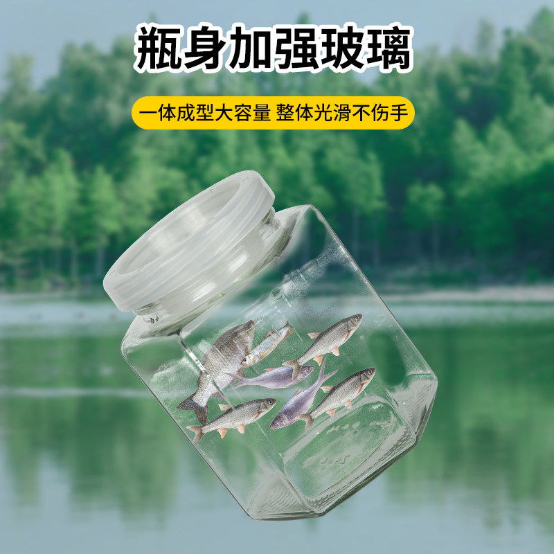 捕工具儿童抓小鱼神器玩具捞鱼捞虾网虾笼捕鱼笼捕虾笼晒鱼养殖,淘宝优惠券,粉丝福利购,淘宝优惠卷