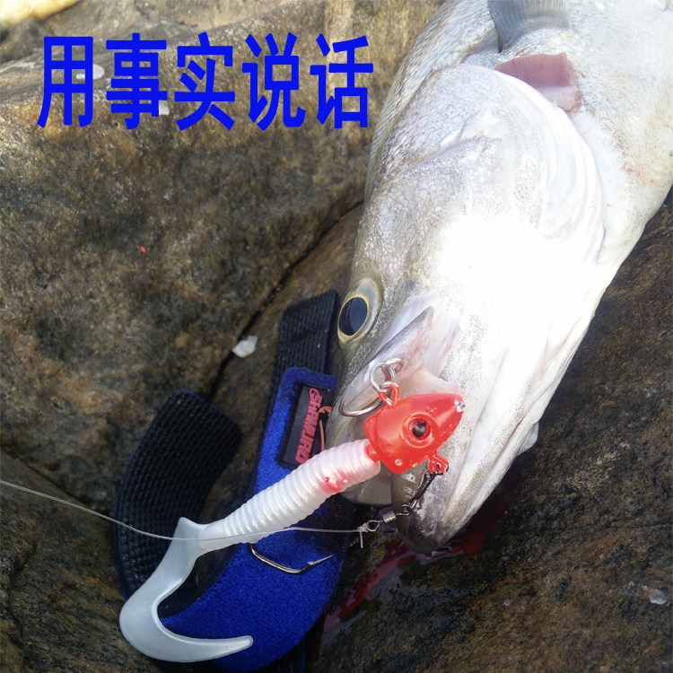 路亚软饵卷尾包铅软鱼夜光假饵远投海淡水钓鲈鱼翘嘴专杀铅头钩,淘宝优惠券,粉丝福利购,淘宝优惠卷