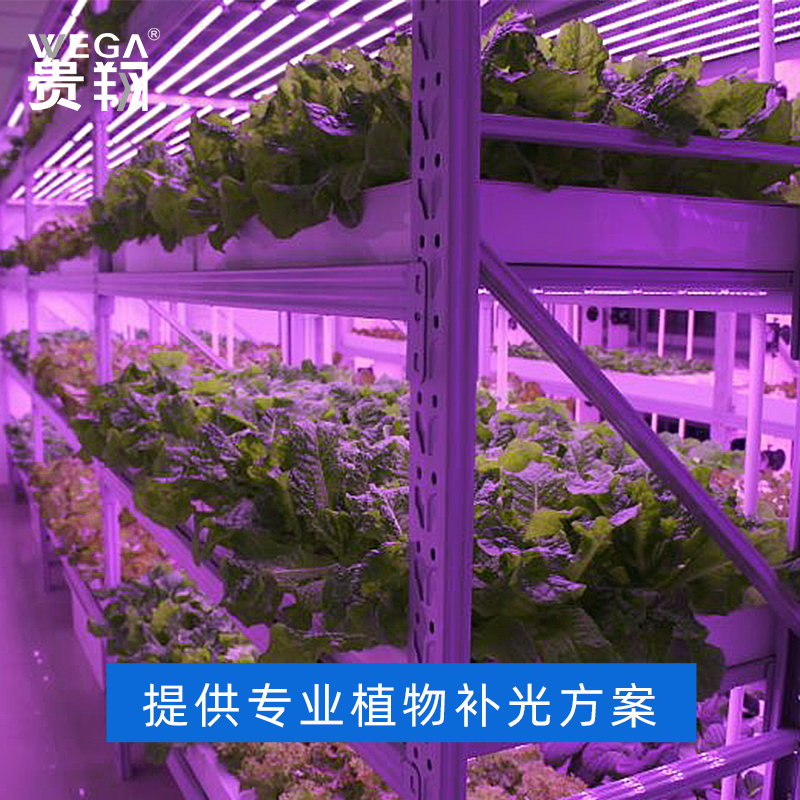 贵翔 全光谱LED植物生长灯仿太阳光植物工厂育苗蔬菜多肉补光灯