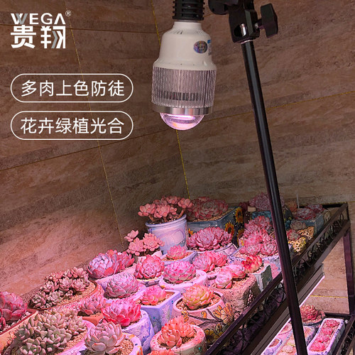 贵翔 多肉补光灯家用上色全光谱防徒长LED仿太阳光光照植物生长灯 - 图0