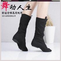 Dance Boots Canvas Mongolian Ethnic Tibetan Vi Ethnic Side Flower Dance Soft Bottom Shoes Boots Male And Female Playboy Boots Mati Boots