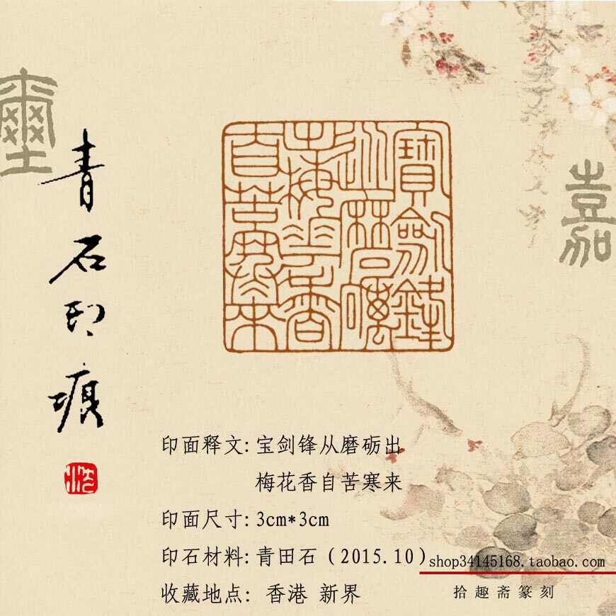 梅花香自苦寒来 新人首单立减十元 22年5月 淘宝海外