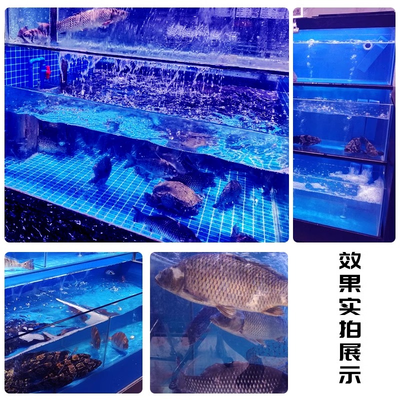 海鲜池商用制冷机一体海鲜缸贝类池超市酒店饭店专用海鲜鱼缸定制 - 图0