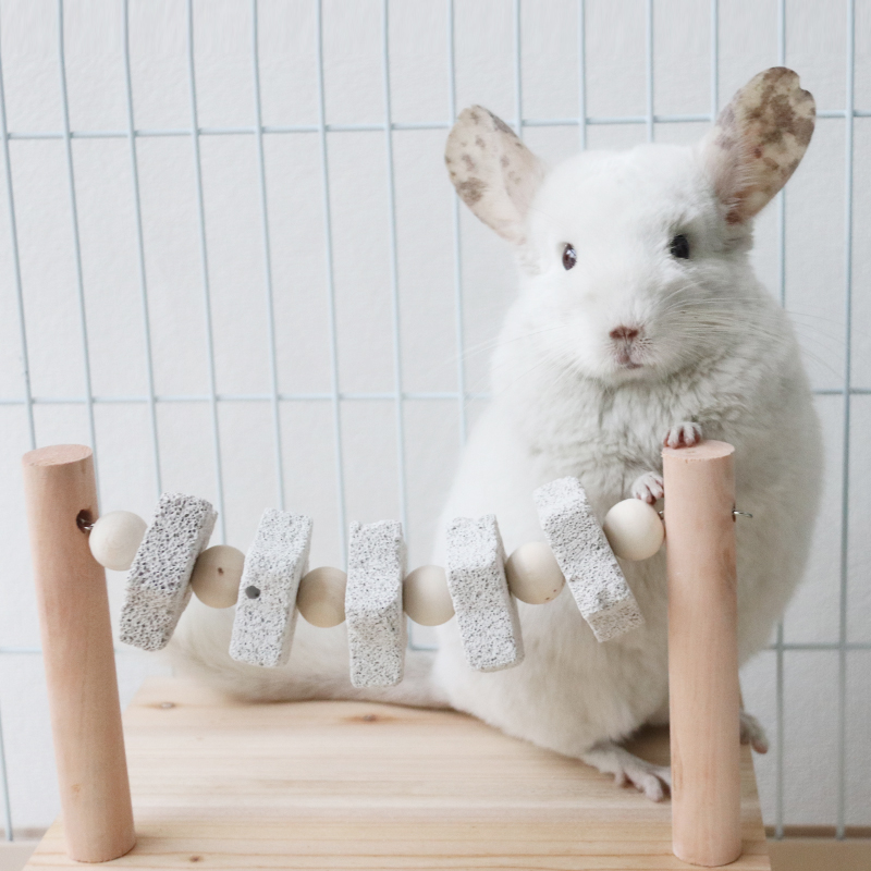龙猫栏杆踏板跳板松鼠木跳台玩具磨牙石草饼围栏笼子笼柜通用家具 - 图0